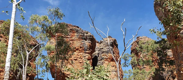 석탄기 Caranbirini Conservation Reserve 오스트레일리아 준주에 지역이다 남쪽으로 45Km 떨어진 — 스톡 사진