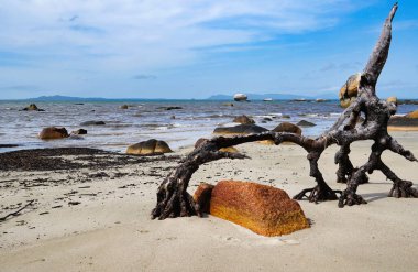 Lockhart Nehri, Quintell Sahili büyük kayalarla kaplıdır ve Cape York, Kuzey Queensland, Avustralya 'dadır.