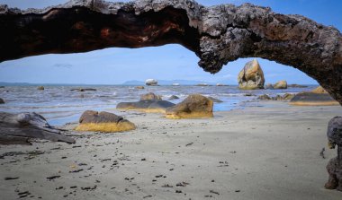 Quintell Sahili, Cape York, Kuzey Queensland, Avustralya 'da bulunan büyük kayalarla kaplıdır.