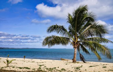 Beach front at Seisia a coastal locality in the Northern Peninsula, Queensland, Australia. View of Islands and coconut tree clipart