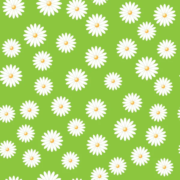 Champ des marguerites — Image vectorielle