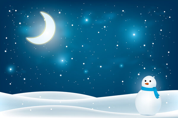 Рождественская ночь
