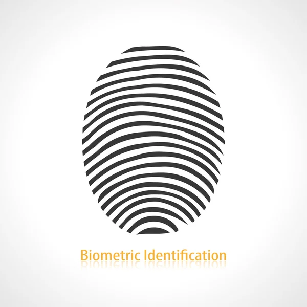 Fingerprint — Stock Vector