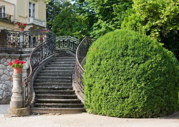 Ornate steps — Stock Photo, Image