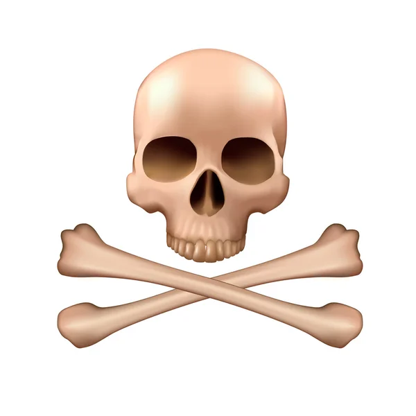 Череп и перекрещенные кости — стоковый вектор