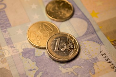 Euro madeni para ve banknot