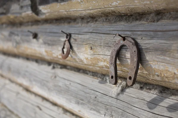 Herradura oxidada — Foto de Stock