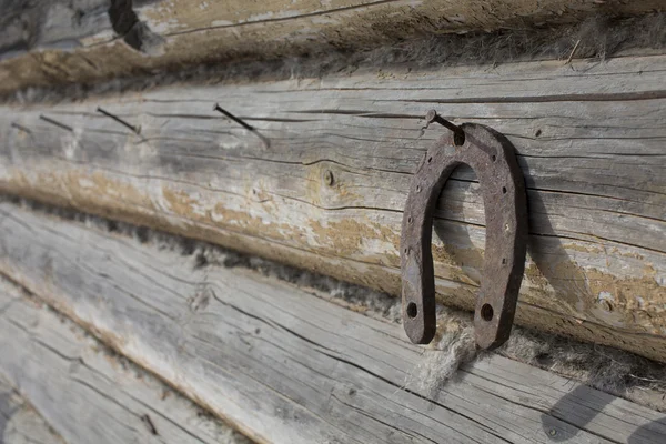 Herradura oxidada — Foto de Stock