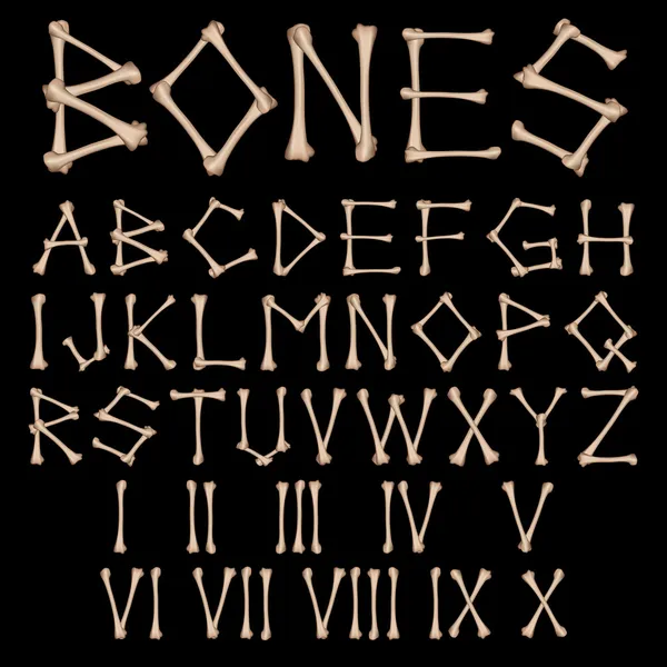 kemikleri alfabe vektör