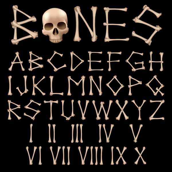 Bones Alphabet vector — Stock Vector