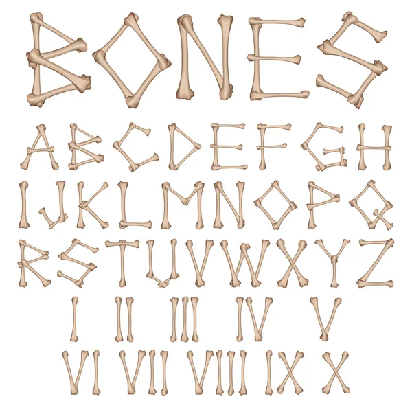 Вектор алфавита костей — стоковый вектор