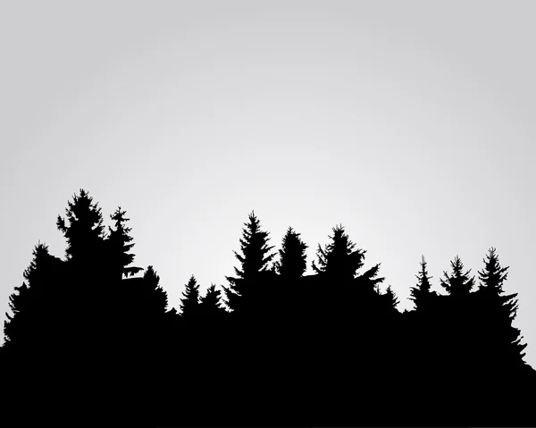 Silhouette of spruce forest — Stock Vector