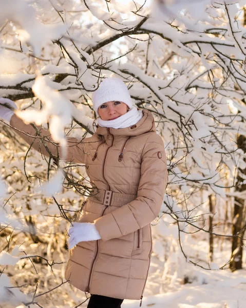 Flicka håller på snöiga träd — Stockfoto