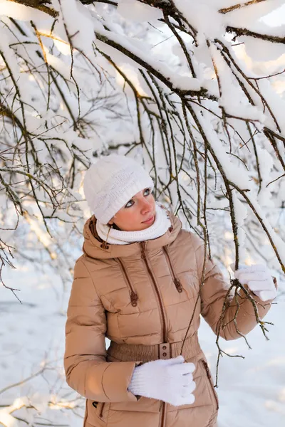 Девушка осматривает снежное дерево — стоковое фото