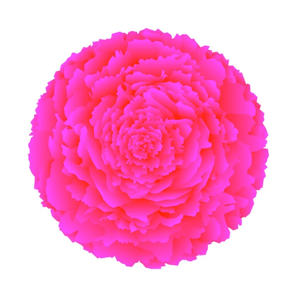 Růžový květ — Stockový vektor