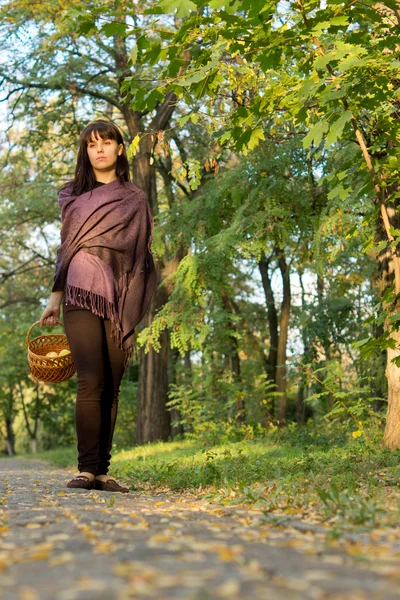 Mulher com cesta de maçãs na floresta — Fotografia de Stock
