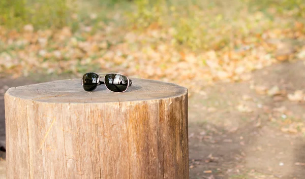 Sunglasses on a tree stump table — Stock Photo, Image