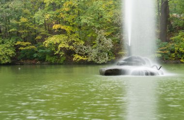 Gölde bir su ve sis tüy