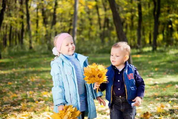 Счастливые дети играют в осеннем лесу — стоковое фото