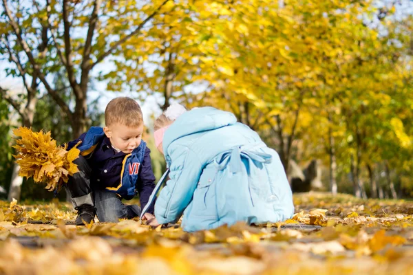 Irmão e irmã brincando em folhas de outono — Fotografia de Stock