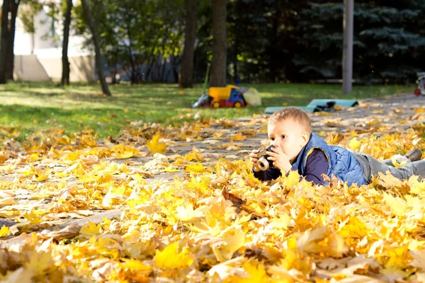 Мальчик фотографирует осенние листья — стоковое фото