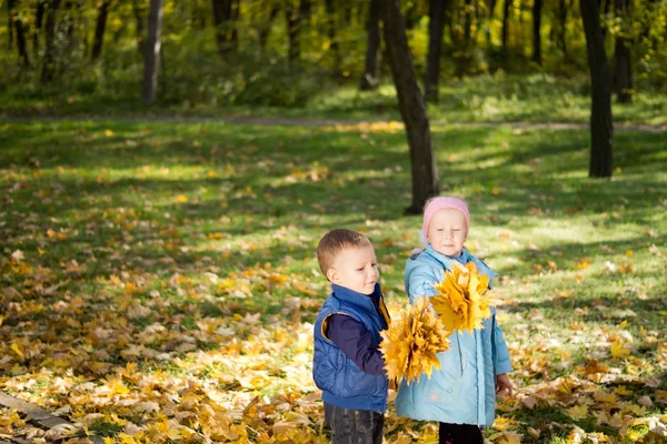Dzieci z kiści liści jesienią — Zdjęcie stockowe