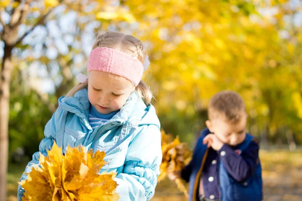 Bambini nel parco in una giornata autunnale — Foto Stock