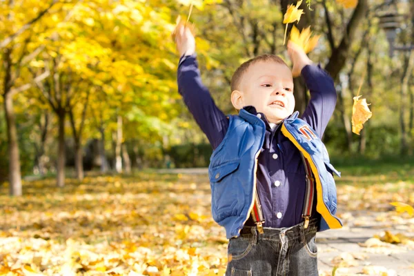 Vrolijke jongen gooien herfst bladeren — Stockfoto