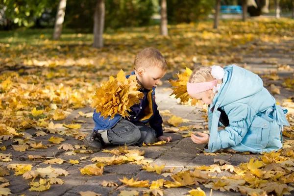 Hermosos niños recogiendo hojas de otoñoçocuklar bir parkta düşen sarı yapraklar ile — Stok fotoğraf