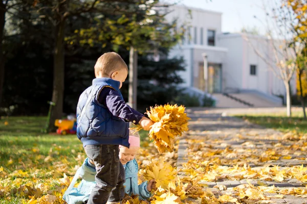 Μικρά παιδιά συγκέντρωση στα φύλλα το φθινόπωρο πάρκο — Φωτογραφία Αρχείου