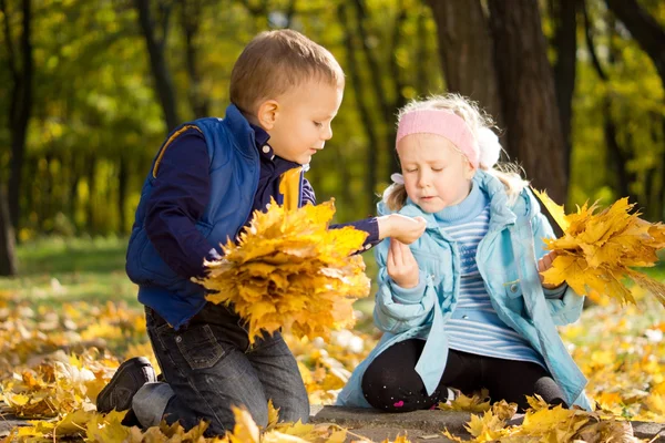 Hojas de recolección de niños pequeños en otoño Esplendor —  Fotos de Stock