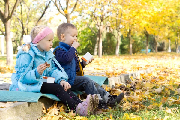 Kids having a snack in an autumn park — Stock Photo, Image