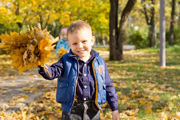 Garçon souriant avec bouquet de feuilles d'automne — Photo