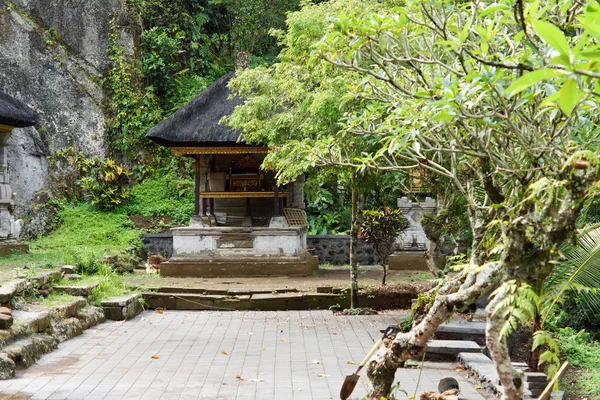 Lush tropical garden and courtyard — Stock Photo, Image