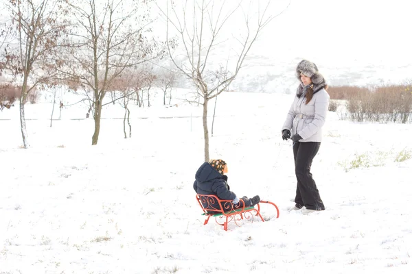 Мать тянет сына на санях в снегу — стоковое фото