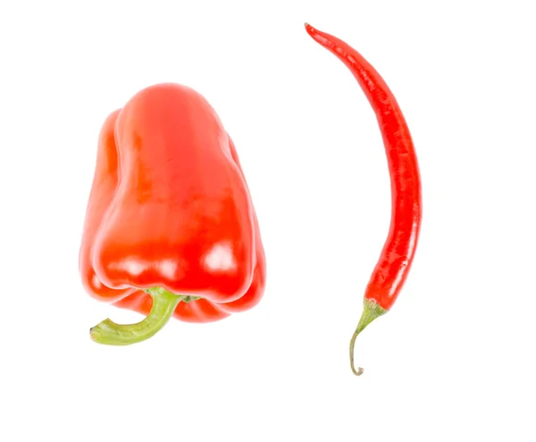 Red bell and chilli peppers — Stock Photo, Image
