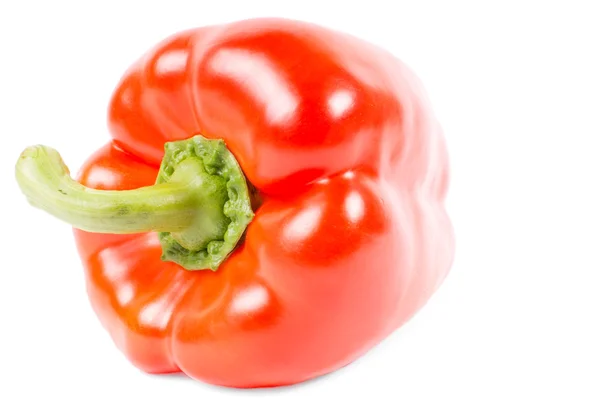 Sweet red bell pepper or capsicum — Stock Photo, Image