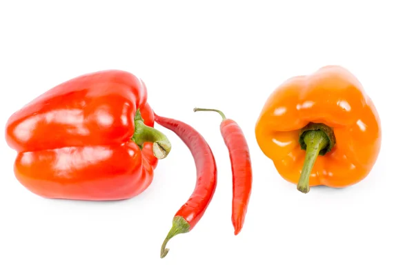 Bell and chilli peppers — Stock Photo, Image