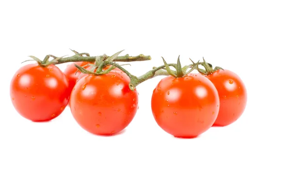 Fresh tomatoes on white background — Stock Photo, Image