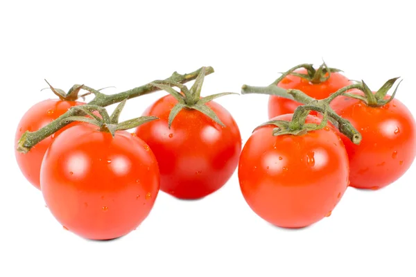 Ripe red grape or cherry tomatoes — Stock Photo, Image