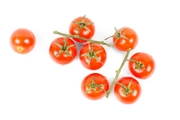 Tasty tomatoes on vine on white background — Stock Photo, Image