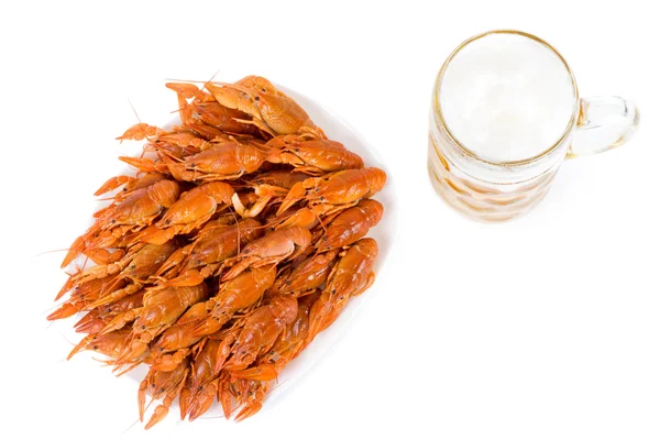 Vařené krevety podáváme s pivem — Stock fotografie