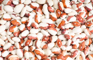 arka planını kuru fasulye