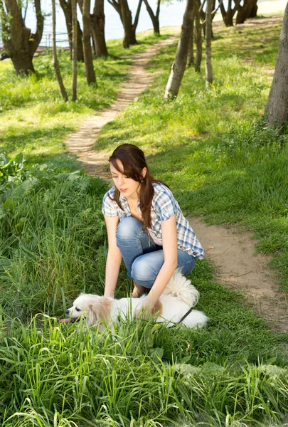 Kvinde og hendes hund ud at gå - Stock-foto