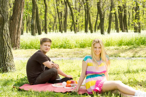 Gelukkige jonge paar op een picknick datum — Stockfoto