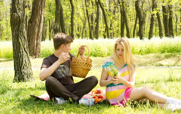 Par med en picknick dag, sitter på gräset — Stockfoto