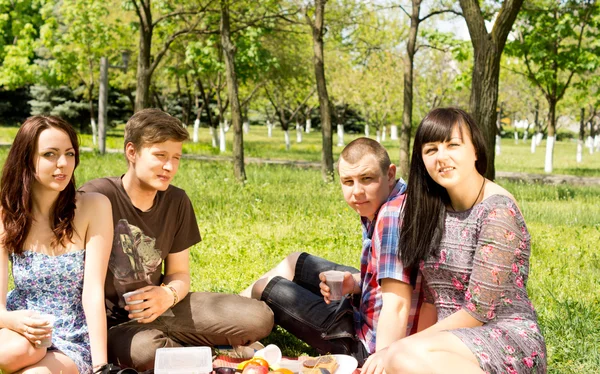 Two attractive young couples on a picnic together — Stock Photo, Image
