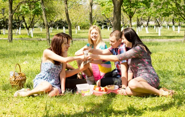 En grupp av attraktiva unga vänner på picknick — Stockfoto