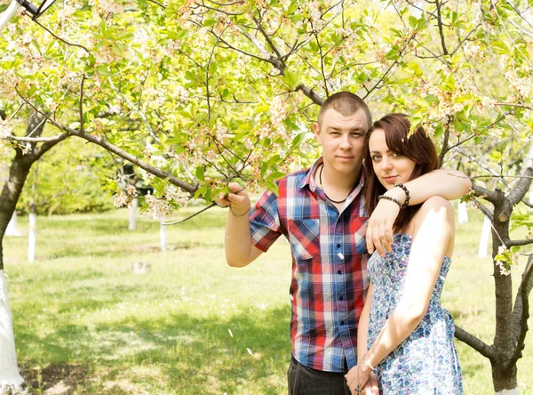 Casal apaixonado posando com a árvore — Fotografia de Stock