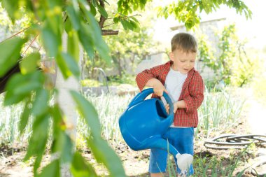 Little boy watering vegetables clipart